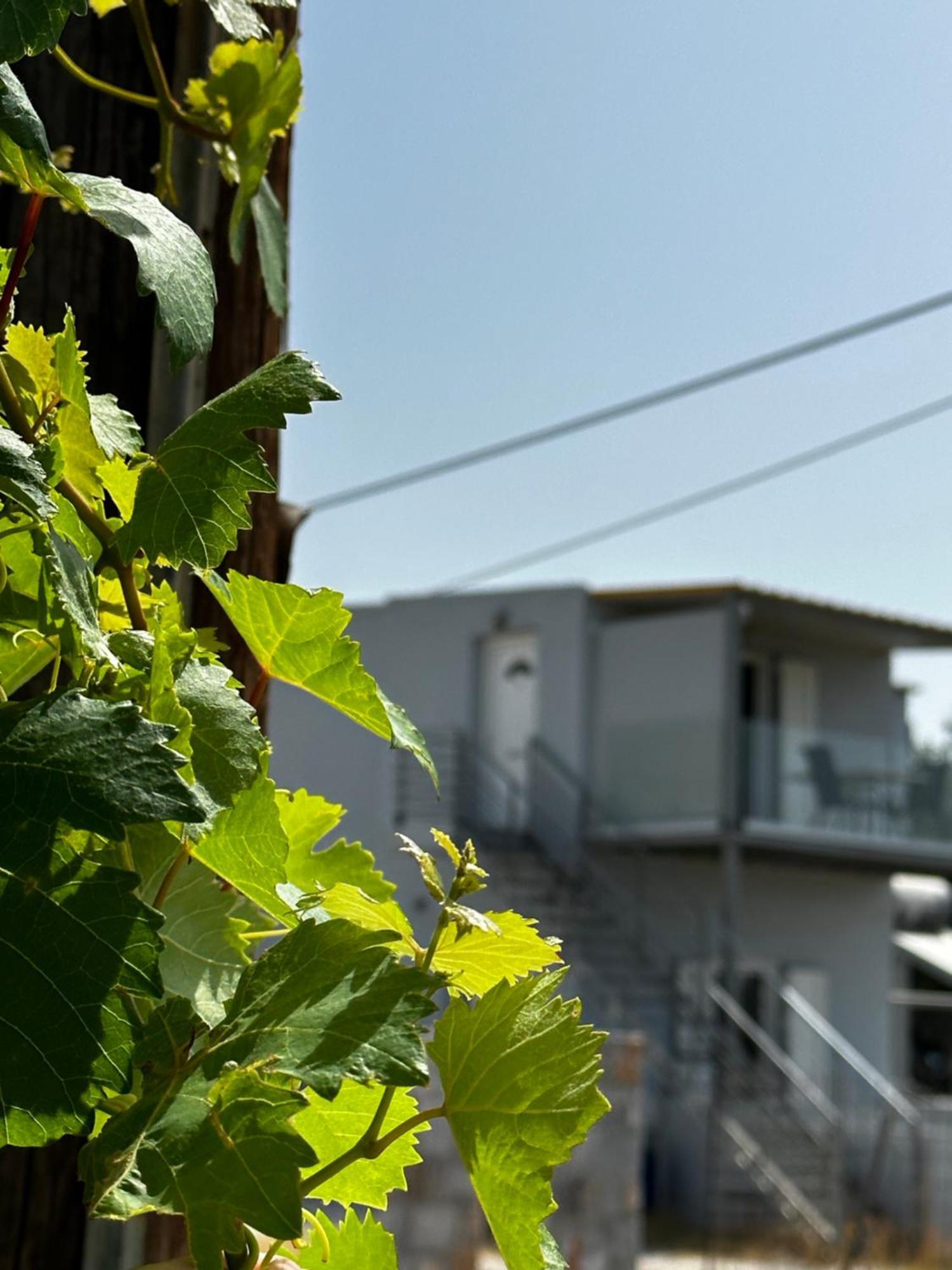 Blue Sky Apartment Frangocastelo Ngoại thất bức ảnh